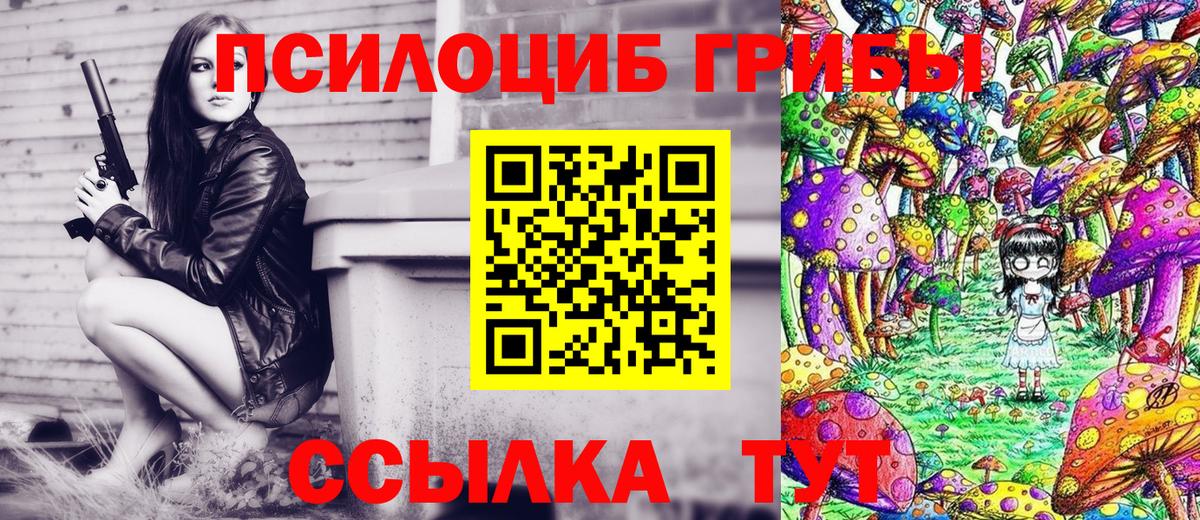 Псилоцибиновые грибы Cubensis Каменка